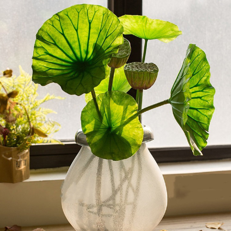 Rustic Reach Lotus Floral Arrangements and Centerpiece in Vase Wayfair